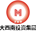 大西南集团